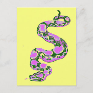Boa Constrictor Pop Art Postcard