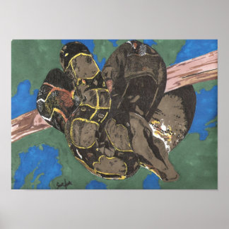 Boa Constrictor Poster