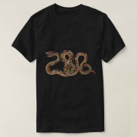 Boa Constrictor type snake