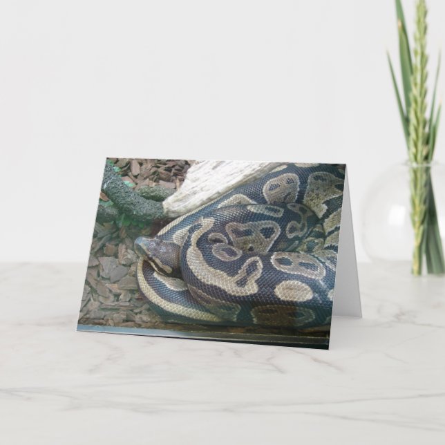 Boa Snake Card (Front)