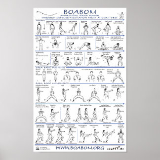 Boabom: Defense-Meditation from Ancient Tibet Poster