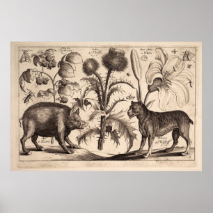 Boar and Mastiff Poster