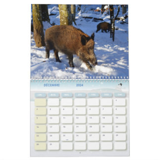 Boar Calendar, Calendar Boars