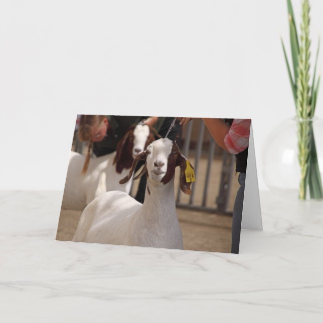 Boar Goat Show Card (Front)
