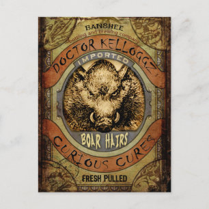 Boar Hairs Postcard