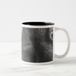 Boar hunt Two-Tone coffee mug