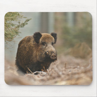 boar!! Wild Boar!!! Mouse Mat