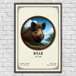 Boar Zoology Series Poster
