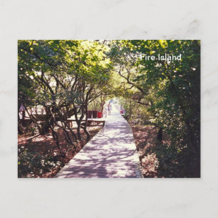 Boardwalk at Davis Park on Fire Is. Postcard