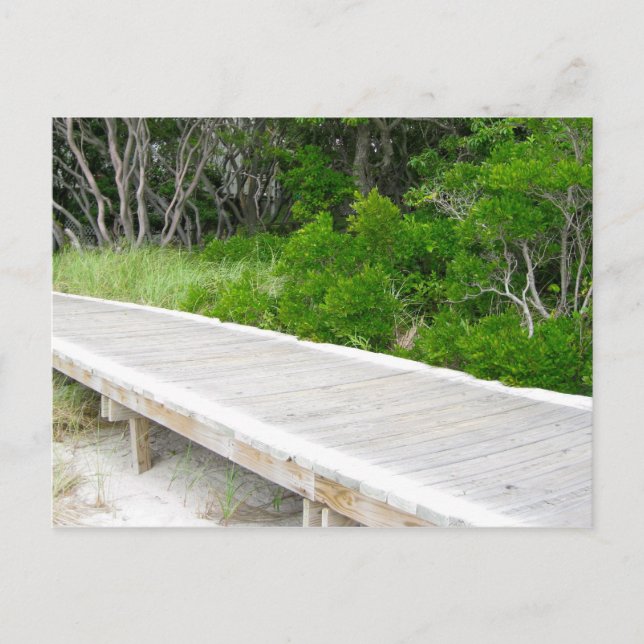 Boardwalk at Davis Park Postcard (Front)