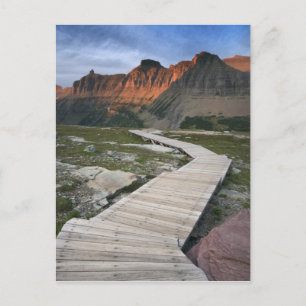 Boardwalk in Waterton Glacier International Postcard