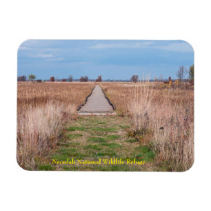 boardwalk through prairie at necedah magnet