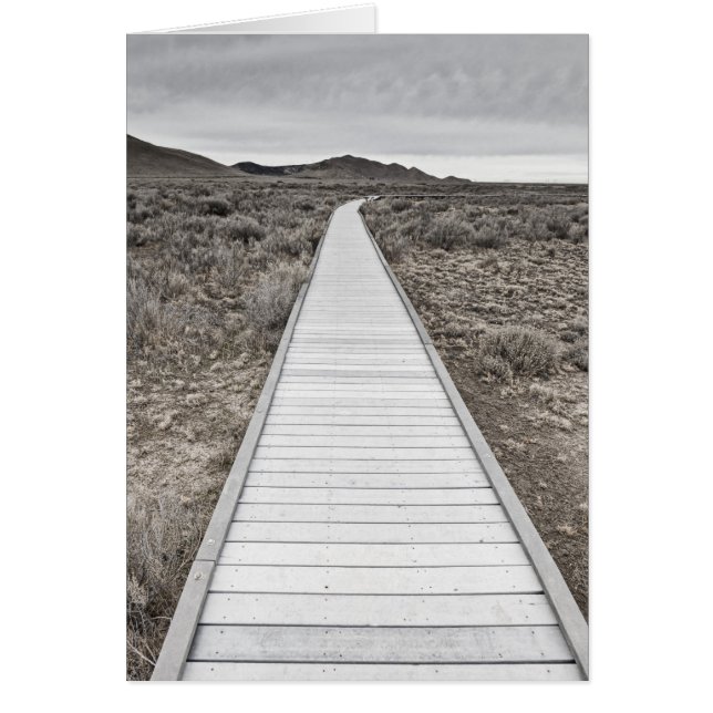 Boardwalk through the desert (Front)