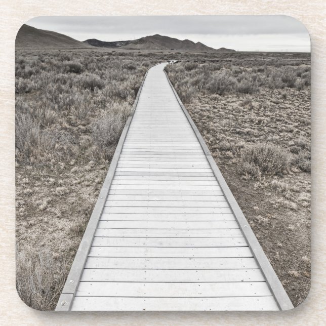 Boardwalk through the desert coaster (Front)