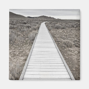 Boardwalk through the desert magnet