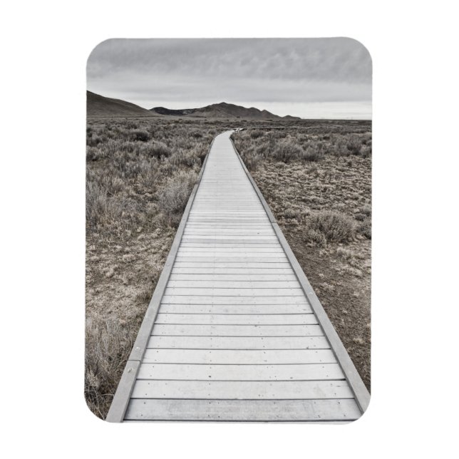 Boardwalk through the desert magnet (Vertical)