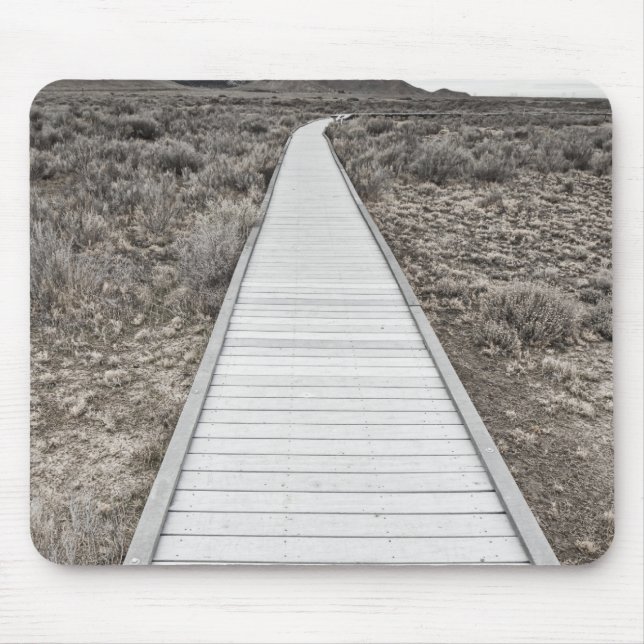 Boardwalk through the desert mouse mat (Front)