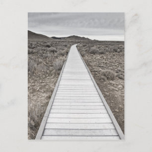 Boardwalk through the desert postcard
