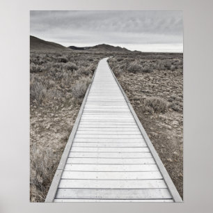 Boardwalk through the desert poster