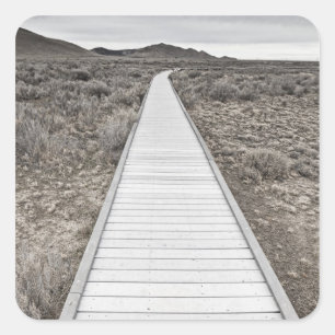 Boardwalk through the desert square sticker