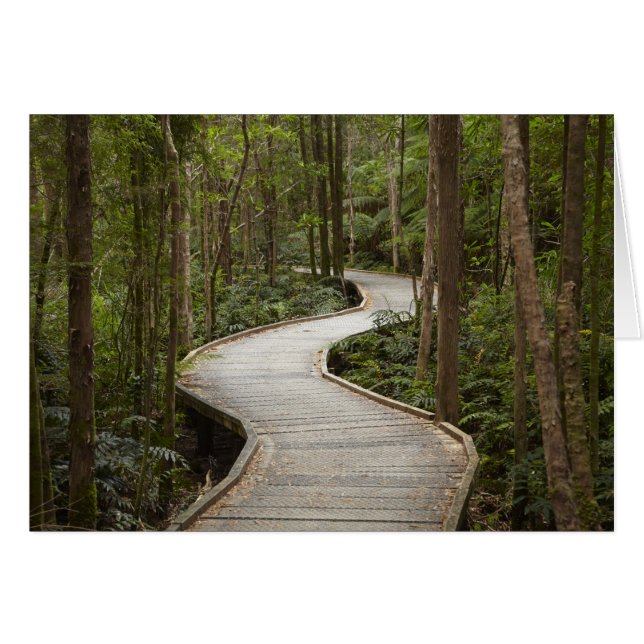 Boardwalk to Nelson Falls, Franklin - Gordon (Front Horizontal)