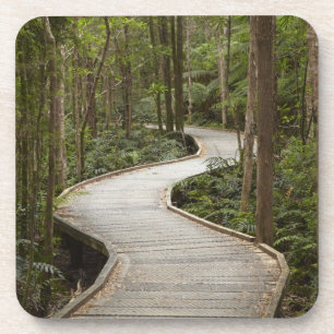 Boardwalk to Nelson Falls, Franklin - Gordon Coaster