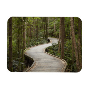 Boardwalk to Nelson Falls, Franklin - Gordon Magnet