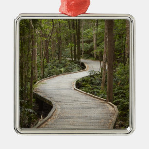 Boardwalk to Nelson Falls, Franklin - Gordon Metal Tree Decoration