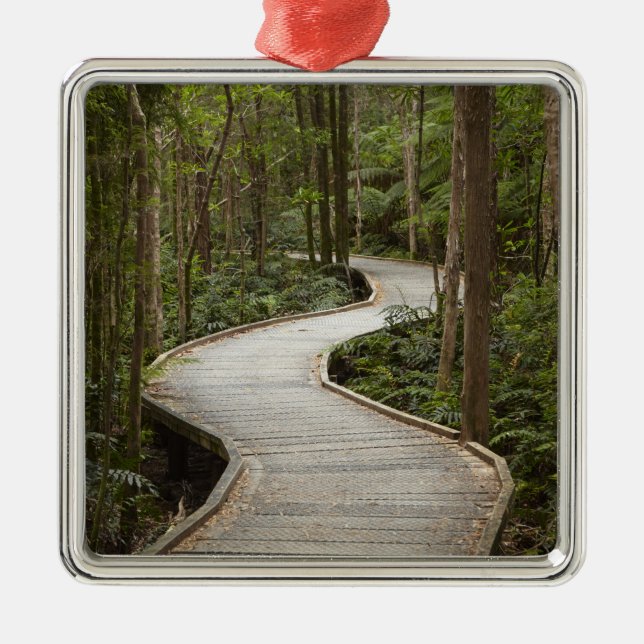 Boardwalk to Nelson Falls, Franklin - Gordon Metal Tree Decoration (Front)
