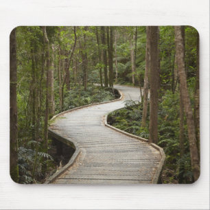 Boardwalk to Nelson Falls, Franklin - Gordon Mouse Mat
