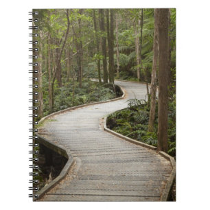 Boardwalk to Nelson Falls, Franklin - Gordon Notebook