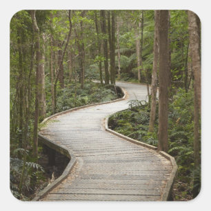 Boardwalk to Nelson Falls, Franklin - Gordon Square Sticker