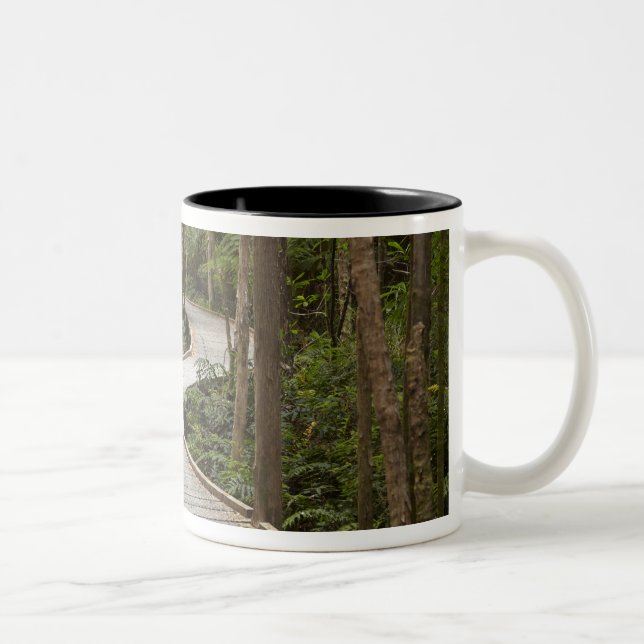Boardwalk to Nelson Falls, Franklin - Gordon Two-Tone Coffee Mug (Right)