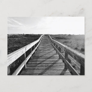 Boardwalk Walking Trail Florida Postcard