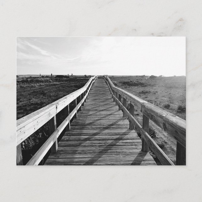 Boardwalk Walking Trail Florida  Postcard (Front)
