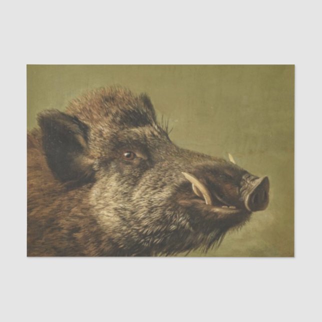 Boar's Head Tissue Paper (Front)