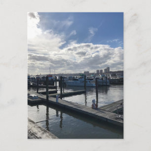 Boat Basin, Riverside Park New York City NYC Photo Postcard