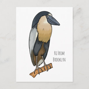 Boat-billed heron bird cartoon illustration postcard