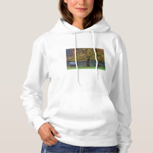 Boat on a lake in fall, Germany Hoodie