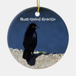Boat-tailed Grackle Ornament