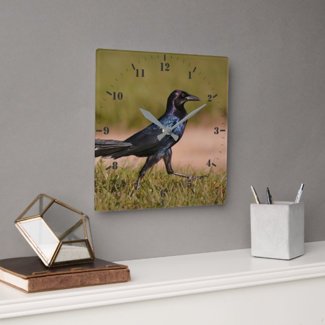 Boat-tailed Grackle Square Wall Clock (Office)