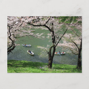 Boating on Chidorigafuchi: Tokyo, Japan Postcard