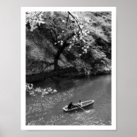 Boating on Chidorigafuchi: Tokyo, Japan 