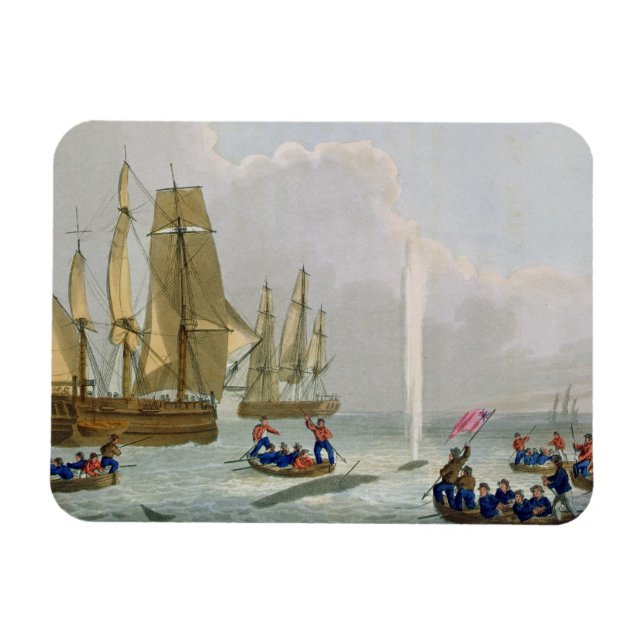 Boats Approaching a Whale, engraved by Matthew Dub Magnet (Horizontal)