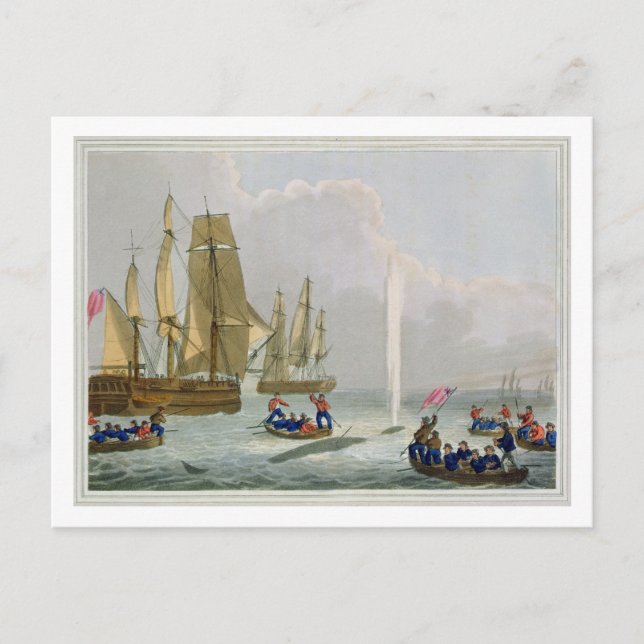 Boats Approaching a Whale, engraved by Matthew Dub Postcard (Front)
