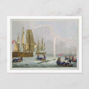 Boats Approaching a Whale, engraved by Matthew Dub Postcard