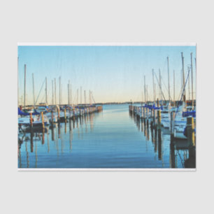 Boats At The Marina by Shirley Taylor Tissue Paper