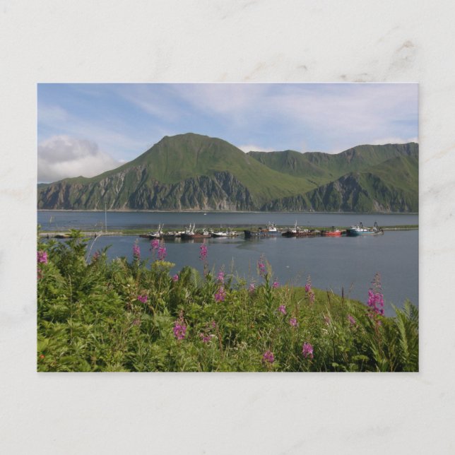Boats at the spit in Dutch Harbour, Alaska Postcard (Front)