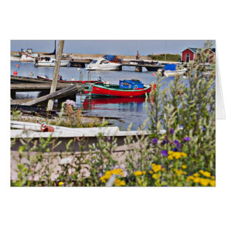 Boats docked in small harbour