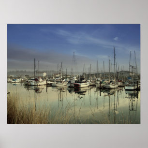 Boats In The Harbour Poster